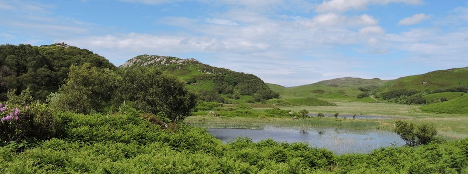 Lily Lochs