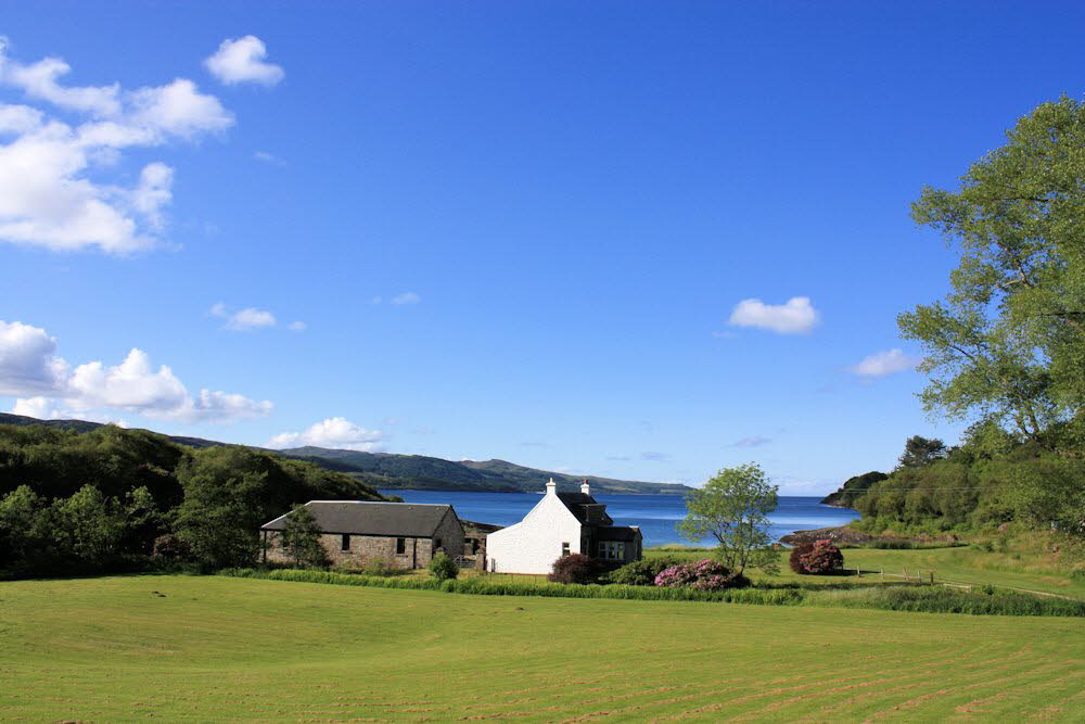 Ellary farm 